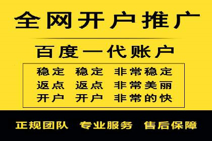 竞价推广策略：某电商平台的成功之路