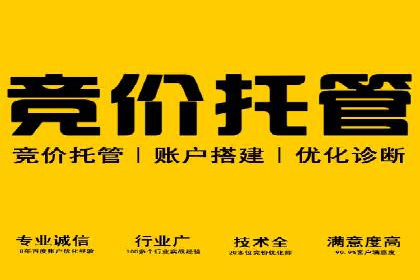 SEM托管服务案例：精准定位，高效转化